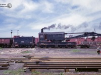 A summer day in 1965 finds CNR big hook 50008 all steamed up, likely for Belleville Railway days which occuredlate June/early July.  50008 is a Bucyrus Erie, 250 ton crane, built 1946 with serial number 36210.  Supplying the coal is tender 51585, and out front is boom tender 60033.  According to Bruce's notes this was the last steam big hook on the CNR roster, and would be converted to diesel in the near future.  Note two plows; CNR 55369, CNR 55396, and at least 3 flangerss visible in the yard.  Thanks to Paul O'Shell for information on this crane, as well as MOW equipment in the rest of Bruce's collection.