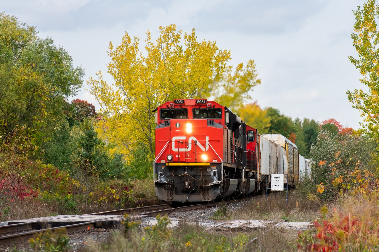 CN M306 glides down the hill just south of CN Beare, marking the first CN mainline train I’ve caught without a car involved in the process. Considering where I live, that is much bigger of an accomplishment than it may seem. Fall is just beginning to peak in most of Southern Ontario, so I’m quite glad I was able to make it out here today, as this is a rare area within the GTA borders without a single house in sight.