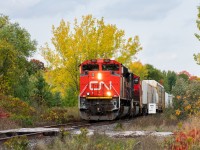 CN M306 glides down the hill just south of CN Beare, marking the first CN mainline train I’ve caught without a car involved in the process. Considering where I live, that is much bigger of an accomplishment than it may seem. Fall is just beginning to peak in most of Southern Ontario, so I’m quite glad I was able to make it out here today, as this is a rare area within the GTA borders without a single house in sight.