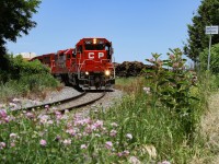 Resting on the Waterloo back track is Wolverton-Hagey turn T72, as they occupy the last running miles of CP's Waterloo Subdivision, that spans from South Jct in Kitchener (interchange with CN's Huron Park Spur), to Galt where it connects with the Galt main. T72 has a decent cut of autos from Toyota, destined for the growing Wolverton auto facility, and is holding presently for 254 to clear the main. Once they do, the hogger will throw on the bell, crank his throttle, enter the CTC, and clear the west backtrack swtich Galt. 