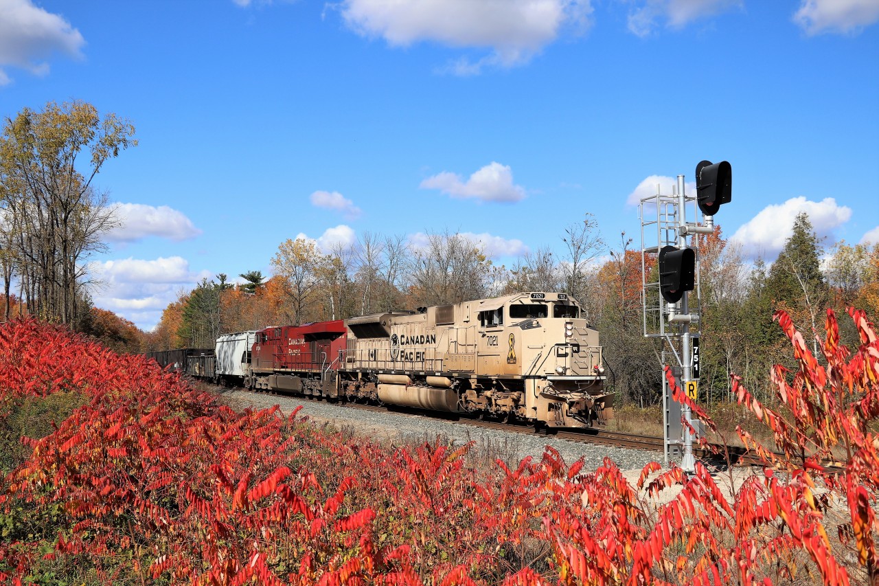 It was another beautiful fall day with the sun shining and the sumacs popping a nice glow of red as one of CP's military units takes the lead of CP 246. This version is the sand coloured version for the Canadian and US military vehicles. CP 7021 with CP 8734 begin their journey down the Hamilton sub from Campbellville as they approach the #3 side road.