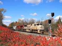 It was another beautiful fall day with the sun shining and the sumacs popping a nice glow of red as one of CP's military units takes the lead of CP 246. This version is the sand coloured version for the Canadian and US military vehicles. CP 7021 with CP 8734 begin their journey down the Hamilton sub from Campbellville as they approach the #3 side road.