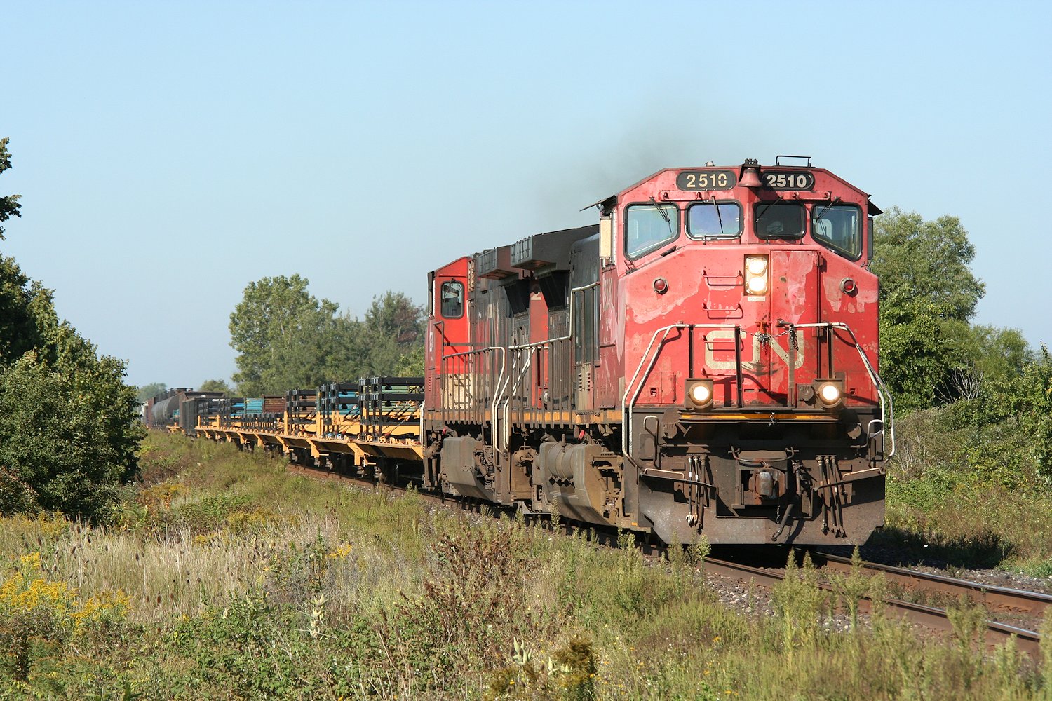 ナショナル Railpictures.ca - Chris vanderHeide Photo: A rather faded CN
