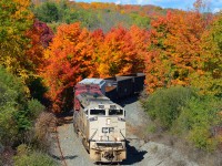 Canadian Pacific's locomotive 7021, painted to honour the Canadian and US Armies in arid climates passes through brilliant fall colours as the crew of train 246 gingerly guides their train on the 2% downward grade of the Niagara Escarpment. This area is a fall foliage paradise, and to reflect this here's a shot I did in 2010 just a bit north at <a href=http://www.railpictures.ca/?attachment_id=15785 target=_blank>Snake Rd</a> framed in the now rebuilt wooden bridge. Get it while you still can, it'll all be gone in about a week or less.