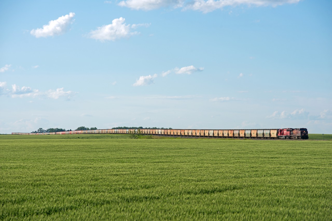 The entire 188 car, 2x1x1 CP 669 can be seen approaching Albatross Saskatchewan on a warm July evening.