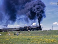 The fireman aboard CNR 6167 pours on the coal as 6167 charges eastbound on the Campbellford Sub out of Lindsay on a Toronto-Lindsay-Belleville UCRS trip.  In just over three months, 6167 will make her <a href=http://www.railpictures.ca/?attachment_id=14528>last run on September 27, 1964.</a>  Donated to the City of Guelph in September, 1967, the locomotive sat on display for many years at the East end of Carden Street at the end of the CN/VIA Rail station platform.  Various groups have maintained the locomotive with great care over the years, most recently the major cosmetic restoration completed by the 6167 restoration Committee, of which Bruce was a member.  <a href=http://www.railpictures.ca/?attachment_id=2905>June 15 and 16, 2010</a> saw 6167 moved to the south side of the Guelph Sub, and placed <a href=http://www.railpictures.ca/?attachment_id=15889>closer to the 1911 GTR station.</a>  After spending the last decade at this location, 6167 is on the move again to a more permanent site, almost 1/4 mile east near the River Run Centre <a href=https://guelph.ca/wp-content/uploads/locomotive6167-relocation-keymap-1536x994.jpg>alongside the Guelph Junction Railway line.</a>  The move will be undertaken tomorrow; Saturday, November 14, 2020, and can be live streamed from the <a href=https://www.facebook.com/guelphmuseums>Guelph Museums Facebook Page</a> beginning around 10:00am.  As noted in this <a href=https://blog.metrolinx.com/2020/11/13/moving-history-guelphs-iconic-steam-locomotive-is-being-relocated-this-weekend/>article from Metrolinx,</a> the locomotive is being moved to make way for GO Transit's south platform at Guelph Central Station.<br><br>Thanks to Dave Spiegelman for help with the location.