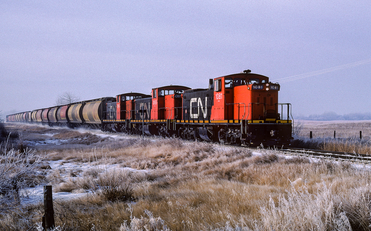 With his arm stretched out, the hoghead is in the midst of rule 14l as 584 approaches a crossing west of Redwater. This was a very cool day, which seems appropriate for a Friday the 13th. You can see in the middle of the train a couple of the early style hoppers. Often wondered if there was a customer that requested them as they were frequently a part of the consist.