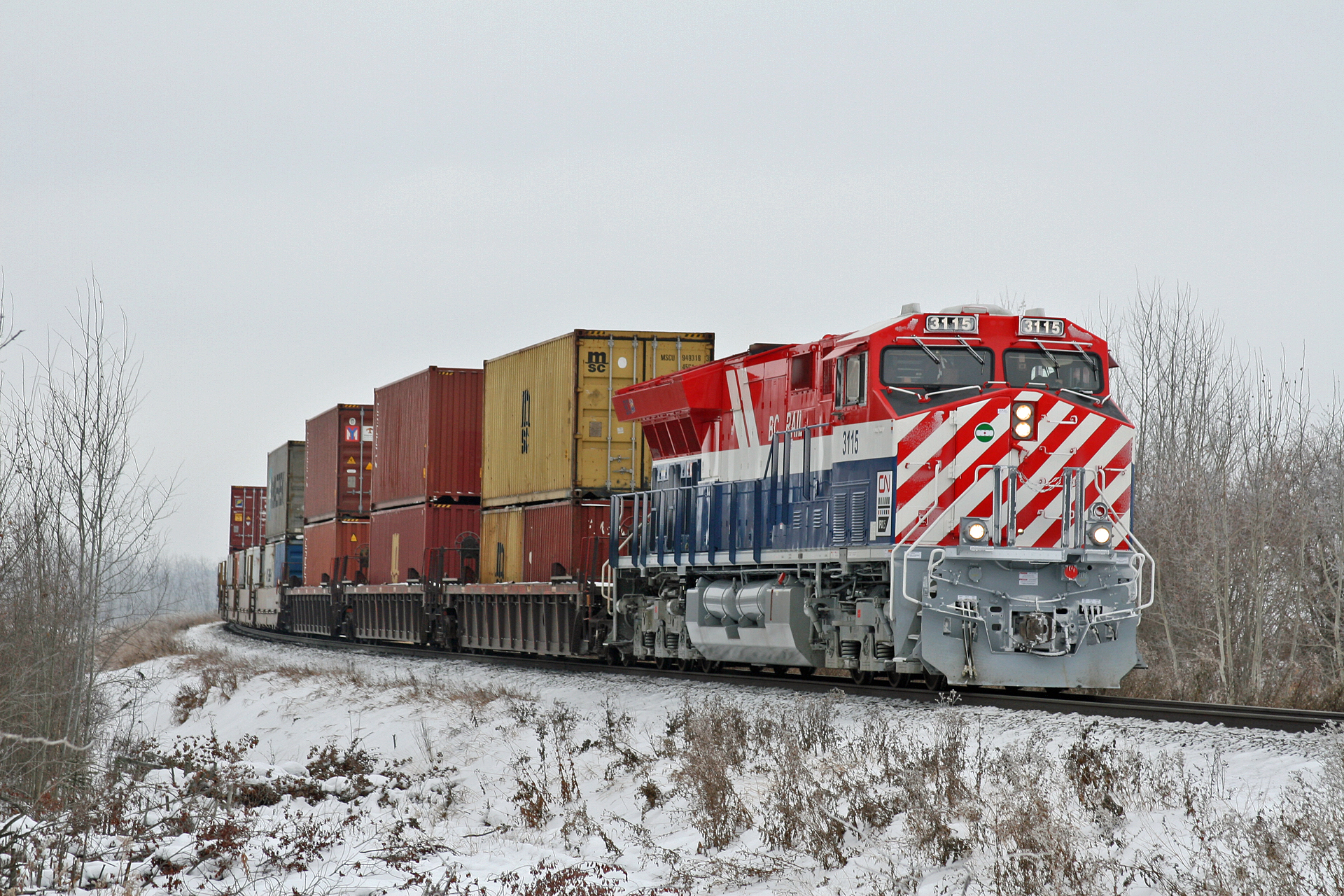 Scaletrains Rivet Counter Ho Scale ET44AC CN/ BC Rail Heritage 3115