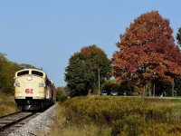 Fall colours are in full swing as Ontario Southland's prized F units lead the way West towards Ingersoll after having to wait a good hour for CP T69 to show up. 