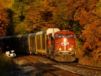 Surrounded by great fall colour, CP ES44AC 8884 kicks up some fallen leaves just west of Milton West charging towards The Escarpment with Gibson, IN bound train 147-13.