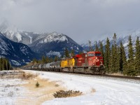 CP ES44AC 8890 and UP AC4400CW 6780 lead CN's Edmonton-Coquitlam train M309 west on the Edson Sub at Henry House. Who's railroad is this anyway?