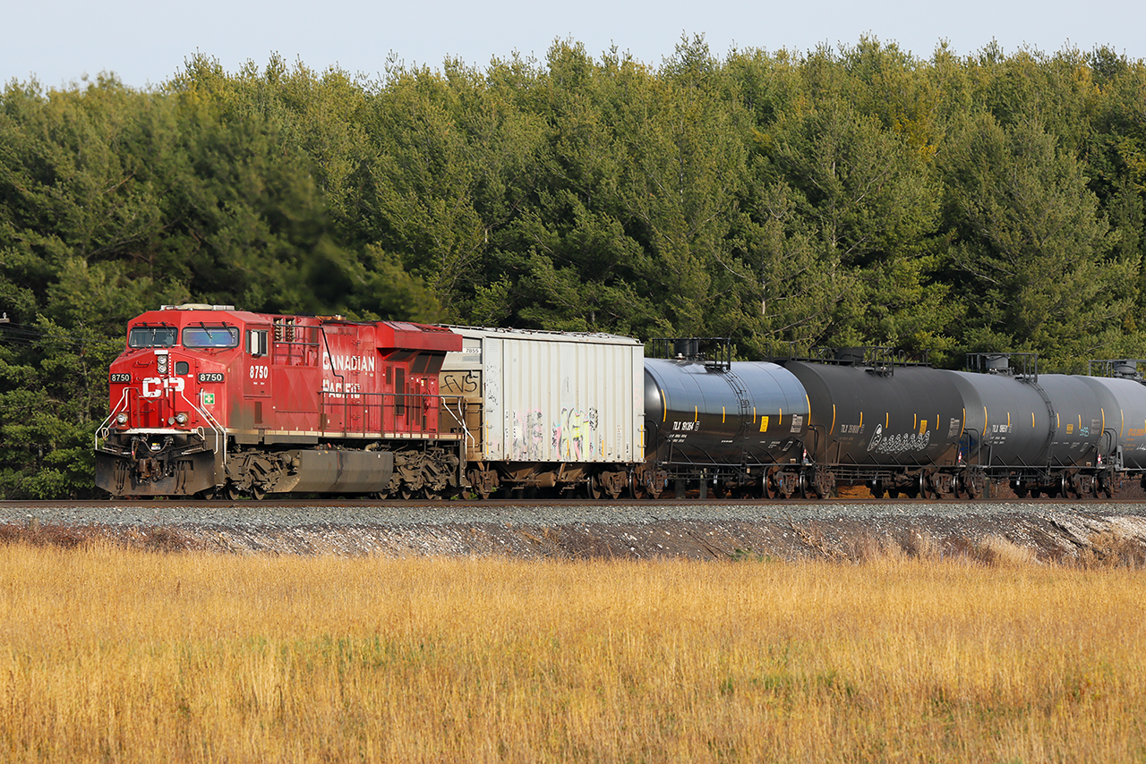 The one advantage of DPU's from the photographer viewpoint is the possibility of getting a unit pointed into the sun even when the train is headed away from it. After a long hard pull uphill out of Woodstock, it appears that 650 is picking up some speed as it heads towards Wolverton and a meet with the much chased 241.