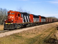 The 4602, 9105 and 9192 have the usual 35 loads in tow. 3 GP38's can bring 50 loads back to Edmonton. The train has just crested the hill up from the Redwater river. It will now slowly descend over the next few miles to cross the Sturgeon river just before arriving at Gibbons. IMO, the zebra painted ex-NAR units looked their best when working with b-units.