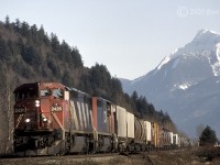 With 7000 foot Mt Cheam towering in the background, CN 2426 and 2442 have just left Chilliwack as they head west at Arnold on CNs Yale sub. On a clear night, the lights of Vancouver Island can be seen from the peak of Mt Cheam, about 180 Km., Chilliwack to Nanaimo.