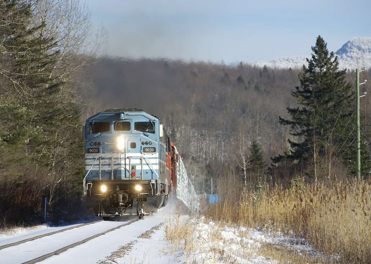 CP 251 is working hard with an 81-car train as it climbs a grade with a trio of EMD's for power (CMQ 9020, CMQ 9017 & CP 6018).