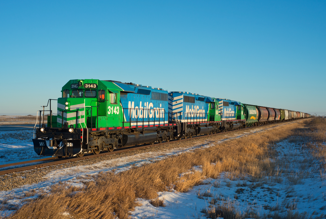 Last Mountain Railway makes it'w way north in the last light of the day. The trio of shiny clean SD40-3s is seen just south of the village of Findlater Saskatchewan. The train originated at AGI Foods just north of Regina.