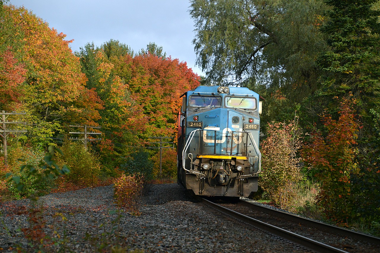 One of the few CNs  blue units still running around in its former LMSX (733) colours is seen here stopped just before Isabella St in Parry Sound on account congestion down the line at Boyne.  It is a beautiful, but cloudy fall morning,, and around 0845 the sun just happened to peak thru the trees. Did not record CN units behind 2460.