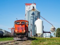 Following up on some discussion earlier this month of Torch River Rail's car loading facility in Arnold's <a href="http://www.railpictures.ca/?attachment_id=43585" target="_blank">shot of 1432 here</a>, I offer this view of the facility itself in Choiceland, Saskatchewan. I've told the story in other submissions, but this was a pure luck find. I was out for a drive north of Saskatoon as it was cloudy in the city and immediate area, and when I was in Prince Albert I decided to continue onward as I thought at minimum I could grab a roster shot in Choiceland and then drive across the <a href="http://www.railpictures.ca/?attachment_id=38756" target="_blank">infamous bridge in Nipawin</a>. But as I arrived in Choiceland I saw the headlights of 1432 pulling ahead so I scrambled for this shot and then the chase was on.