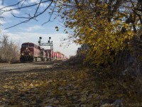 After snapping some GO train action at Wallace Ave, I ended up at Bartlett Ave to see what would roll by on the North Toronto. Turns out CP actually runs trains still, whodathunkit? CP #113 strolls thru with ES44AC no.8867 pulling a mile of double-stacked containers destined for Vancouver behind it. The low hanging branches with the last of autumn leaves clinging on really added to the scene in my opinion and I couldn't resist framing the shot with them.