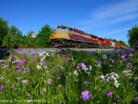 A fairly new, clean engine and a nice late spring scene. Oooooh bring me back. 

