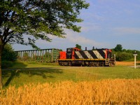 Running as nature intended, 1408 is long hood forward passing by buckwheat fields in Guelph-Eramosa township. It may not be the prairies, but 1408 is at home on what was once the Fergus subdivision, with many sections of 80 lb rail dating to the turn of the 20th century. The time is 0757 and the sun still has that golden hue you only get at sunrise and sunset. Getting up early to grab these guys before work was worth the effort.
