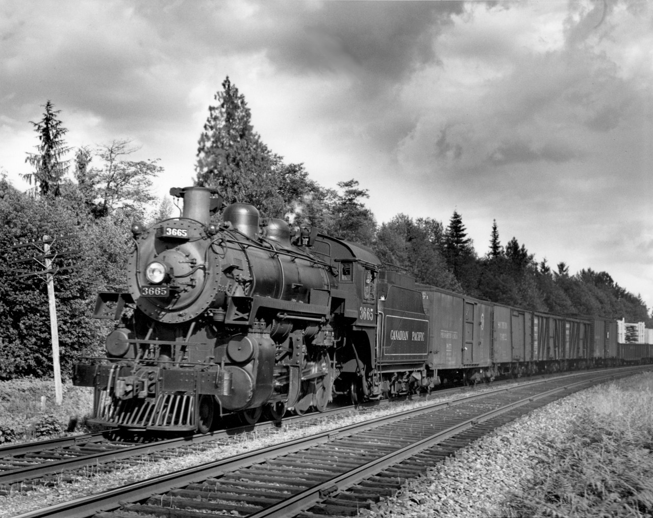 CP train 809 with engine 3665 in Fraser Valley.  Not sure of exact location.