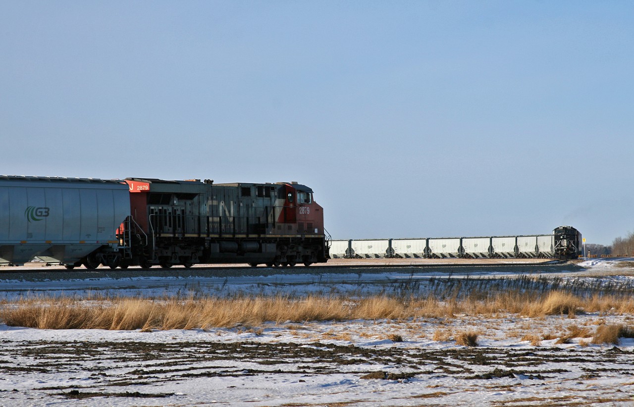 When L 59151 05 showed up at the G3 Elevator in Morinville, Alberta, the crew found the 150 car grain train blocking the switch into the loop track.  G3 staff gave the crew a ride from the CN 3008 to the CN 2879 and the crew pulled the 20959 ton train down clear of the switch to allow CN 3008 and CN 3842 to tack onto the tailend.  Typically the grain empties arrive at G3 1x0x1DP, enabling the new crew to simply taxi up, board the tailend DP unit and depart, however today the empties arrived with a midtrain remote.  As a result, the L591 crew was required to operate power from Edmonton to Morinville, and set up distributed power, allowing them to depart 2x1x1DP.   Here we see the headend of the train and the tailend of the train, as they depart the loop track.
