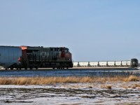 When L 59151 05 showed up at the G3 Elevator in Morinville, Alberta, the crew found the 150 car grain train blocking the switch into the loop track.  G3 staff gave the crew a ride from the CN 3008 to the CN 2879 and the crew pulled the 20959 ton train down clear of the switch to allow CN 3008 and CN 3842 to tack onto the tailend.  Typically the grain empties arrive at G3 1x0x1DP, enabling the new crew to simply taxi up, board the tailend DP unit and depart, however today the empties arrived with a midtrain remote.  As a result, the L591 crew was required to operate power from Edmonton to Morinville, and set up distributed power, allowing them to depart 2x1x1DP.   Here we see the headend of the train and the tailend of the train, as they depart the loop track.
