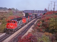 After admiring David Vincent's fantastic over/under catch from New Year's Eve, I realized I had a shot with a similar angle in my slide collection. Here is a "before" shot from October 1979, of CN #387 making its way to Sarnia. That's a GTW open autorack behind the power, followed by a Missouri Pacific 60' auto parts boxcar.
<br>
<br>There are quite a few changes to note over the past 41 years - obviously the sumac thickets have given way to young trees. Clearly the bridge has not been painted in that time, since that one line of vulgar graffiti was there in '79 and is still there today.