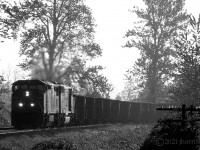 Westbound CN 2422 and 5532 with a loaded coal train at Matsqui Jct. on CNs Yale Sub. 