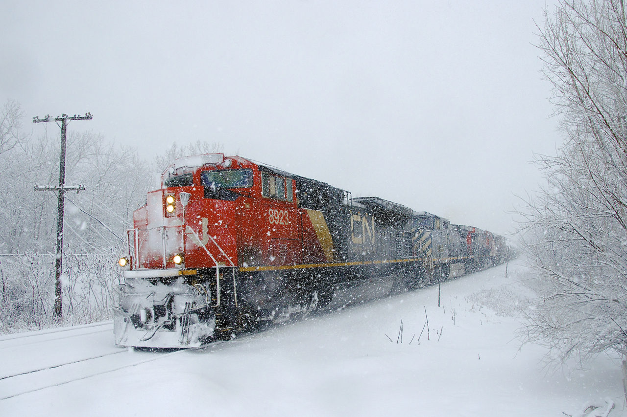 Thick snow is flying as CN X369 passes MP 22 of CN's Kingston Sub with a short train and CN 8923, BCOL 4649, CN 3808 & CN 8900 for power. A bit further west it will pick up more cars at Coteau.