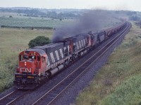 <br>
<br>
 Matching pair of  MLW M-636 's ( built 1971 – 1970 )
<br>
<br>
  CN 2334 and sister 2304  have  GMD SW1200RS #1380  with rail train and mixed freight in tow 
<br>
<br>
  at the Newtonville Road overpass July 25, 1982 Kodachrome by S.Danko
<br>
<br>