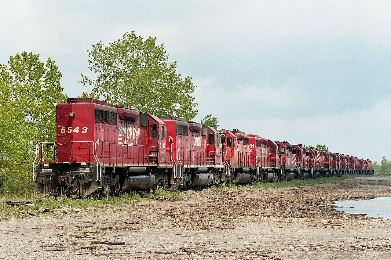 I rather regret not walking the line here and recording all the numbers of stored locomotives in Welland yard on this visit. Railfans and other trespassers had been on alert that the CP police were no longer tolerating unauthorized persons wandering the property, due to some unpleasant events of recent; so I was quick in and out.
Saw all this power and of course had to photograph. Drove in, snap, snap; drove out.
It is possible this long line of units (17??) were stored at Welland contemplating disposal, but without actual unit numbers, I am not sure.  I know the first one, CP 5543, was sold in 2000. CP at this time was well on the way to gutting their tired fleet of early SD40s and the Dash 2s.