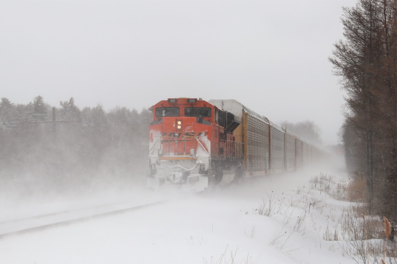 Sometimes things sneak up on you when you least expect it and this was one of them. I heard CP 244 with BNSF 7694 get cleared through a foreman at Galt so off I went to the 7th concession. I got my shot and the cloud of snow blew upon me so I turned away. After the initial blast I started to head back to the car and out of the snow came a flash of orange. I scooted back and caught the unexpected dpu, BNSF 9161 as it headed away into the mist. CP 244 has been rather good to us the last few days sporting pumpkins on the lead two days in a row.