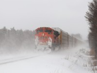 Sometimes things sneak up on you when you least expect it and this was one of them. I heard CP 244 with BNSF 7694 get cleared through a foreman at Galt so off I went to the 7th concession. I got my shot and the cloud of snow blew upon me so I turned away. After the initial blast I started to head back to the car and out of the snow came a flash of orange. I scooted back and caught the unexpected dpu, BNSF 9161 as it headed away into the mist. CP 244 has been rather good to us the last few days sporting pumpkins on the lead two days in a row.