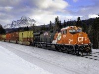 One of 2 CN ET44ACs painted to honour our Veterans (the other is CN 3233), CN 3015 shoves Q102 east towards the BC/AB border.