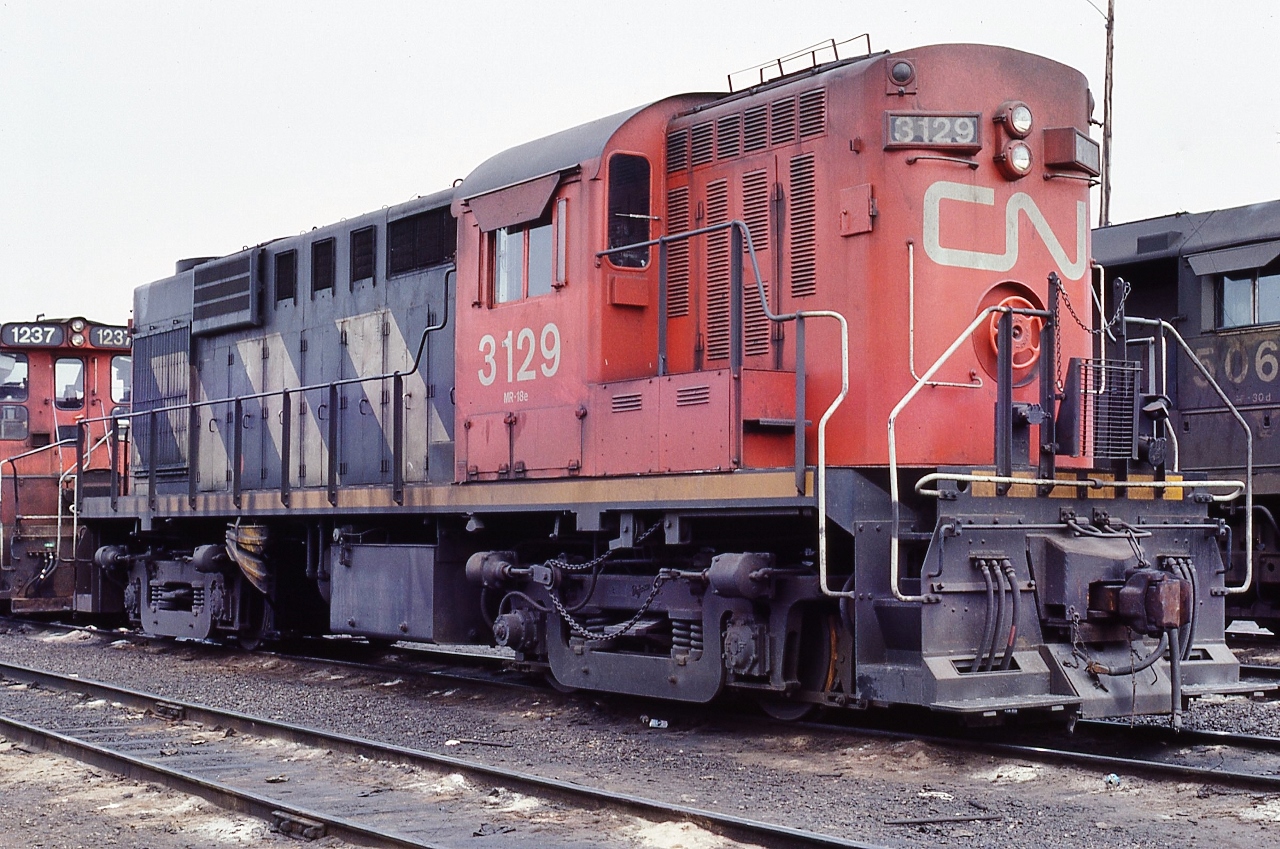 CN #3129 was one of thirty 'high speed'  RS-18  built by MLW  1959    


 Equipped with 80 mph geared trucks the 3100's were regularly used in passenger service


 The high short hood contained the dynamic braking grids. 


 Most 3100's off the roster by 1991,  Trackside Guide shows 3124 & 3127 sold to Lackawanna Valley


 At Mac Yard March 8, 1981 Kodachrome by S.Danko
  

  3100's in VIA service