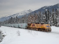 UP ES44AC 5329 heads down CN's Robson Sub at Redpass, BC on the tailend of a 30,000 ton grain train.