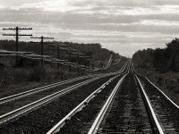 The rolling countryside looking west along the Kingston Subdivision near Wesleyville, approximately mile 276.  The old jointed rail has recently been replaced by continuous  welded rail on the north track.