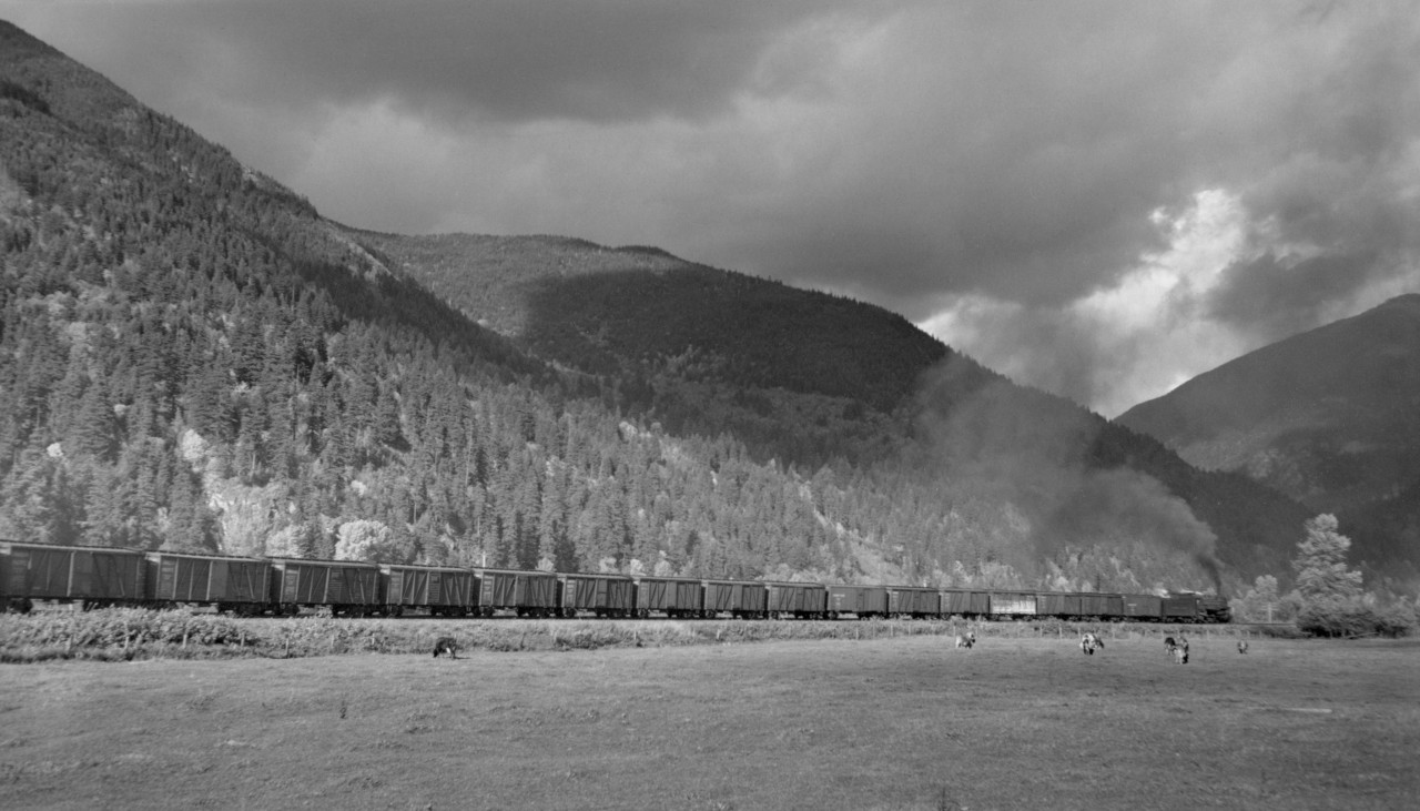 CP 2715 east, east of Dewdney with over 80 car freight.  I was told by Harry Lee, living in North Bend, that CP used to run "double trains" from Vancouver to Ruby Creek.  The grades east of Ruby creek get steeper, so at Ruby Creek they would set off half the train and continue on to North Bend with the rest.  From North Bend they ran more trains to Ruby Creek to pick up the other half of the trains.  There was a wye at Ruby creek to turn the engines.