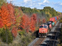 Besides using this website, I'll often use Google Earth to find new places to photograph trains. It's become a valuable tool of mine to plan my shots ahead of time. In this particular instance I found a pair of old wooden bridges in Wesleyville that carry Stacey Road over the parallel CN Kingston Subdivision and CP Belleville Subdivision. Sadly, Google's 2018 satellite imagery hadn't reflected the destruction of the Belleville Sub bridge yet, which I discovered on my first visit in the fall of 2020. I later heard from friends that its removal could be attributed to a massive hole that developed in the middle of the bridge. Now that the remaining bridge serves no real purpose I fear this will spell its end, similar to what happened at nearby Nichols Road years ago. Needless to say, I felt I had to get some shots in at this location while I could.
<br>
<br>
I returned about a week later when the fall colours were at their peak, which I think made this rather unremarkable location significantly better. A grove of trees on the left had decided to become some of the brightest orange I'd seen all season, so I went a little out of my way to include that in the shot. Funny enough, it almost perfectly matches the paint scheme of the CN locomotives. The train is Q147, which had only been running for about a month or two at that point.