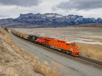 CN's EJE painted heritage engine leads 205 potash loads west on the Edson Sub between Devona and Henry House. This 29,310 ton train originated at the potash mine in Alwinsal, SK and is destined for Thornton Yard in Vancouver, BC.