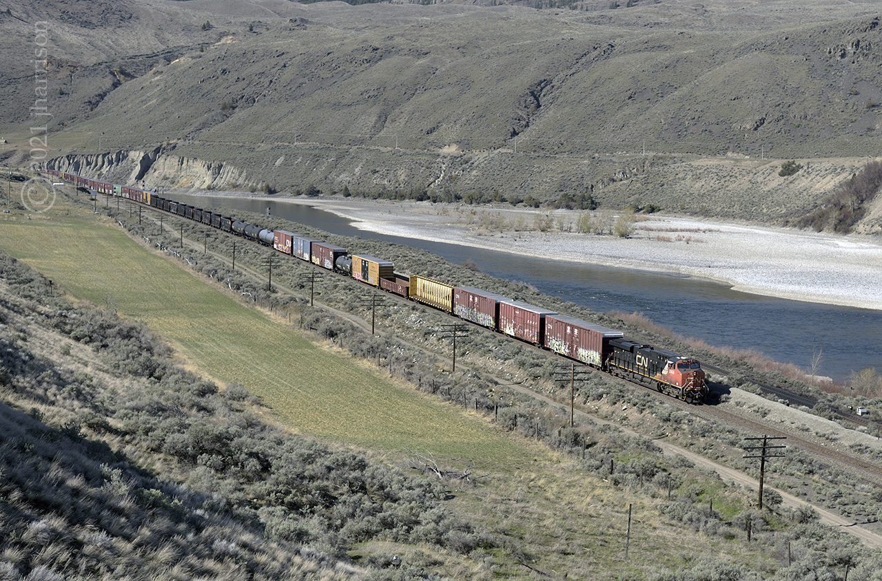 Eastbound CN 2800 is approaching Mile 56 on CPs Thompson Sub. The train is running parallel with CNs Ashcroft Sub and will shortly switch Subs and skirt the town of Ashcroft. 


I've never encountered a rattlesnake in my travels through this part of the province but ... the place is infested with ticks at this time of the year.