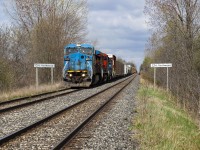 CN A439 splits the station signs at Northwood as they head west towards Windsor. An increasingly rare "Blue Devil" was assigned to this run for about 2 weeks giving many opportunities for chasing. A much more common Blue Jay can be seen flying next to the left Northwood sign. 