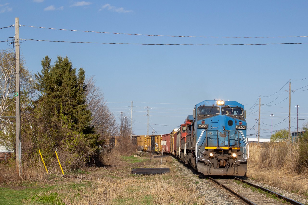 Cn 439 approaching Cn Little With A Rare Blue Devil Leader
