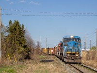 Cn 439 approaching Cn Little With A Rare Blue Devil Leader