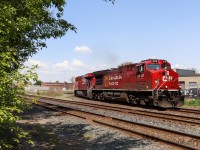 Canadian Pacfic train 420 (Winnipeg-Toronto) glides around the curve at Osler Ave in Toronto with CP 8119 and CP 9364. A weeks worth of rain has helped the local flora as they get close to a "mid-summer green."
