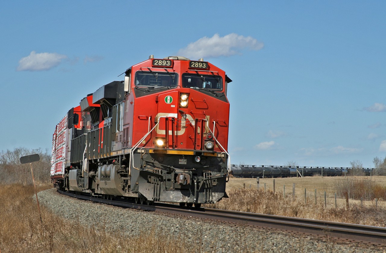 CN X 31651 30 rolls through a sweeping curve just west of Shonts, Alberta