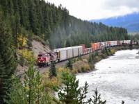 <br>
<br>
   Westbound intermodal, with four high priority trilevels, on approach to The Curve
<br>
<br>
   Powered by: CP 8128 (AC4400CWM built 1998 ex CP 9676) – CP 9826 (AC4400CW built 2004) and DPU CP 9769 (AC4400CW built 2003) 
<br>
<br>
   at Morant's Curve, September 17, 2018 digital by S.Danko
<br>
<br>
   Same location thirty five years earlier
<br>
<br>
 <a href="http://www.railpictures.ca/?attachment_id= 45566">   Four  F's     </a>
<br>
<br>