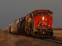 CN 556 makes its way west into the setting sun north of Pense Saskatchewan with cars for Belle Plaine and Moose Jaw.  